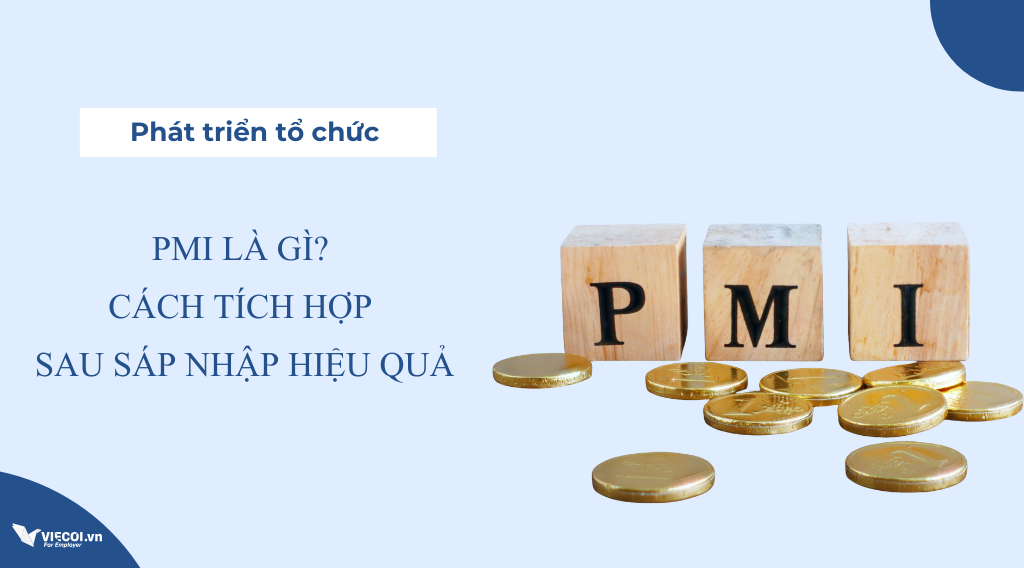 PMI là gì? Cách tích hợp sau sáp nhập hiệu quả
