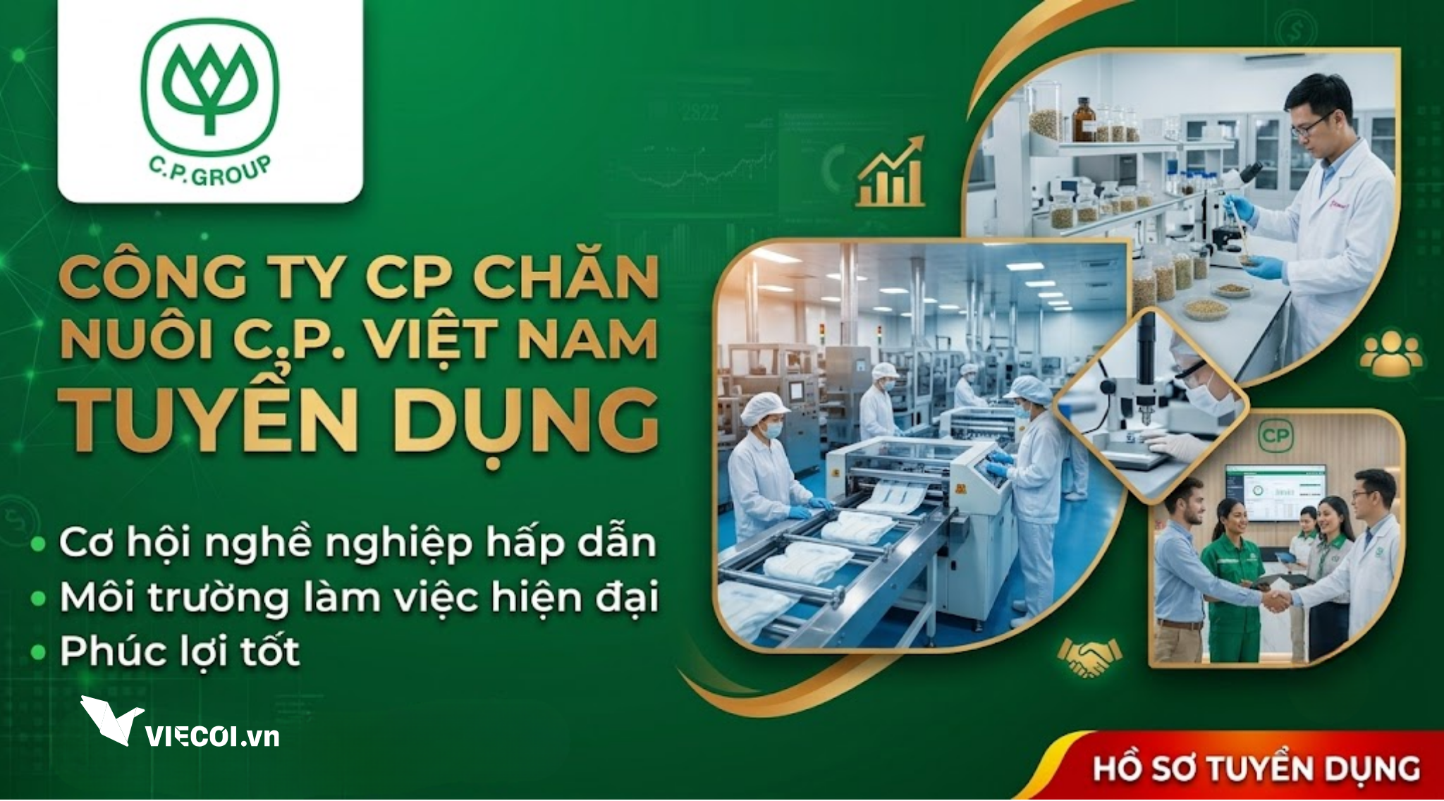 C.P. VIỆT NAM Tuyển Dụng: Chớp Cơ Hội Việc Làm & Bí Quyết Đậu Phỏng Vấn