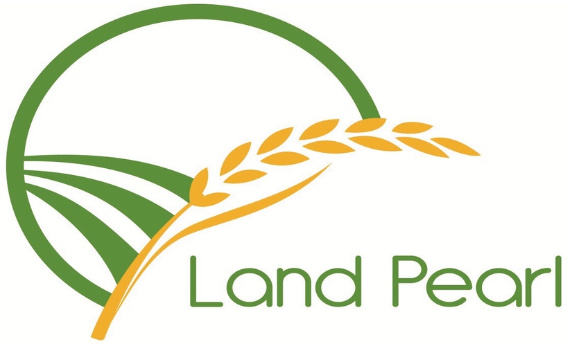 Company Image