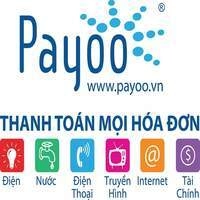 Công Ty Cpdvtt Cộng Đồng Việt (Payoo)
