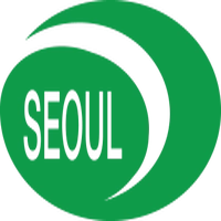 Seoul Semiconductor Vina
