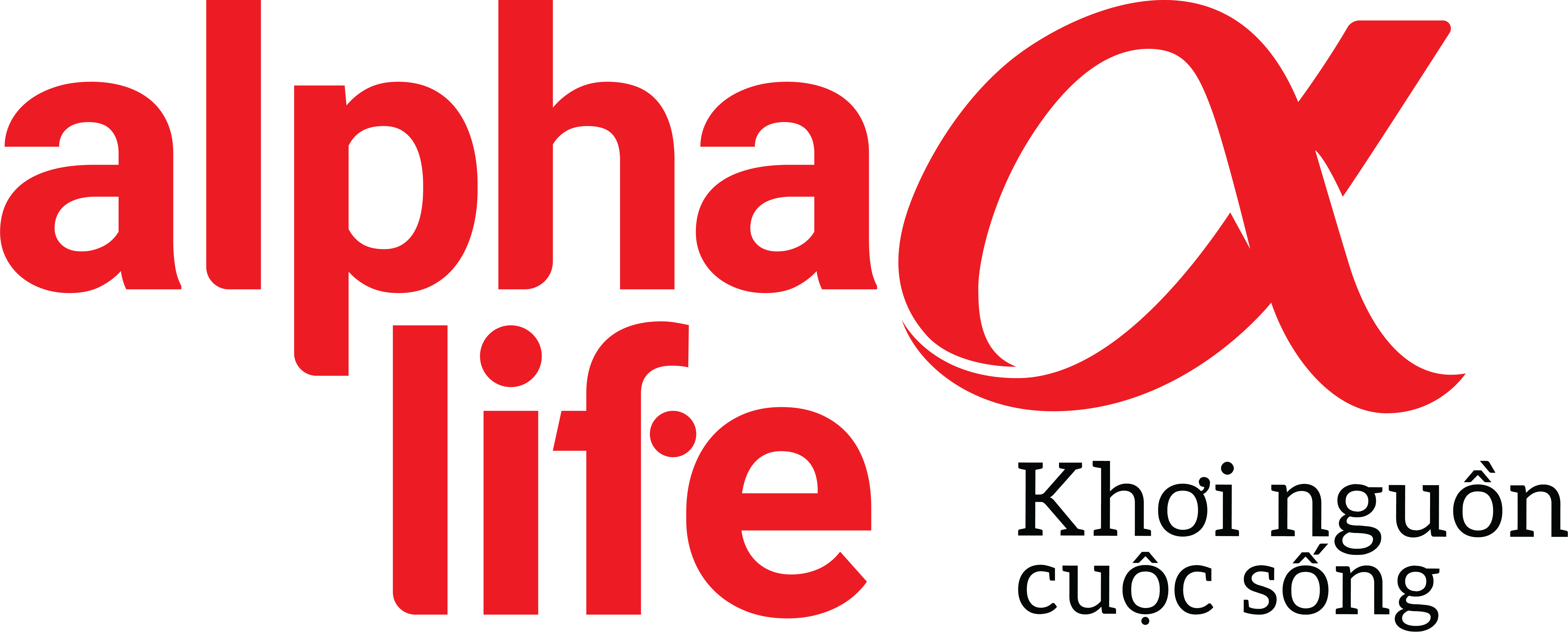 Company Banner