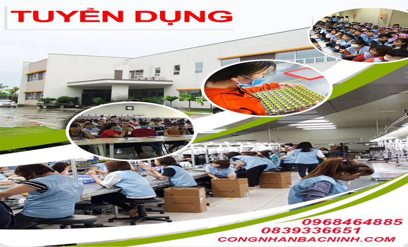 Company Image
