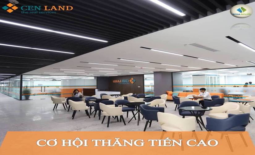 Company Banner