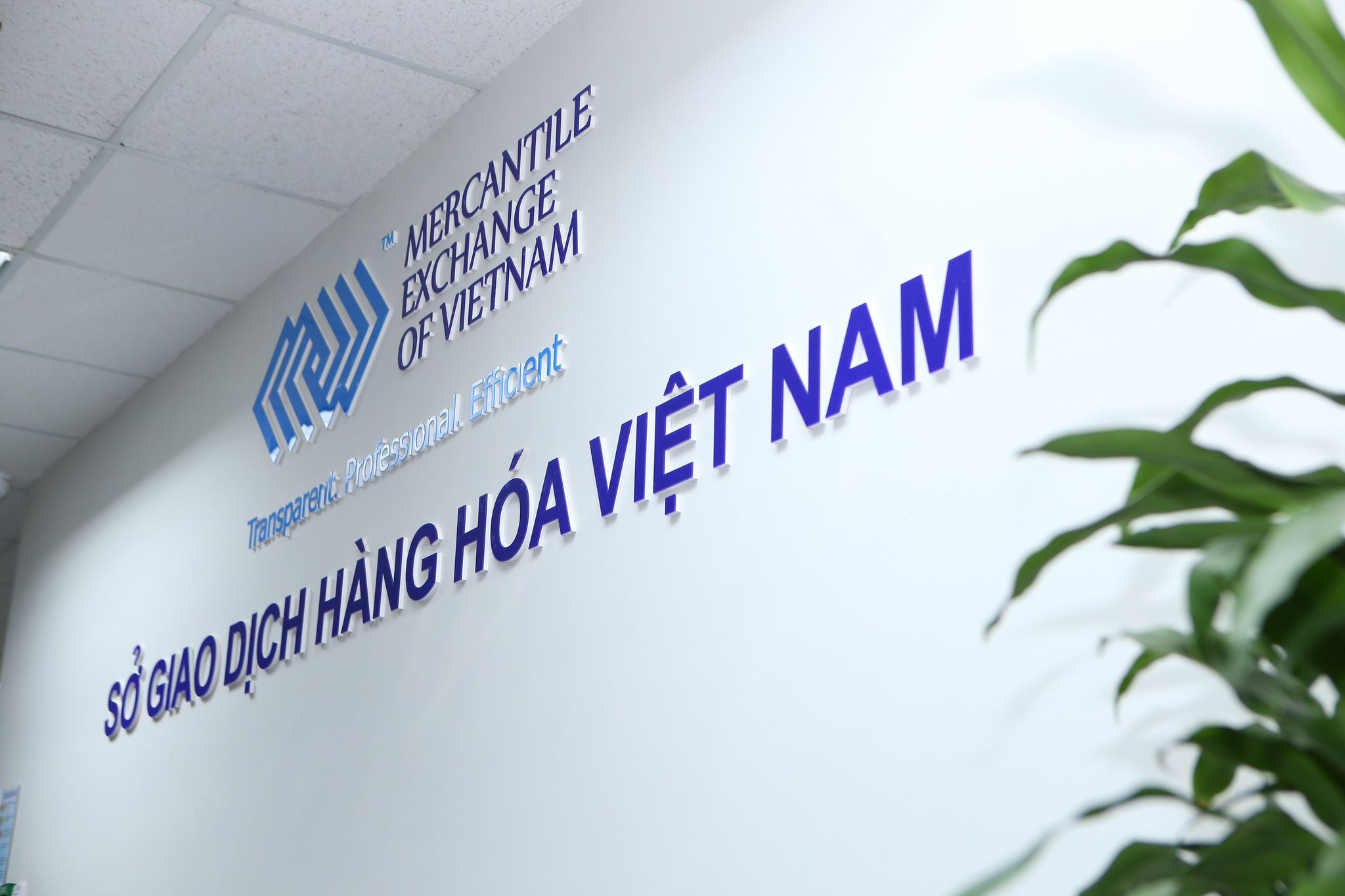Company Image