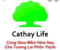Cathay Cn Hcm 11
