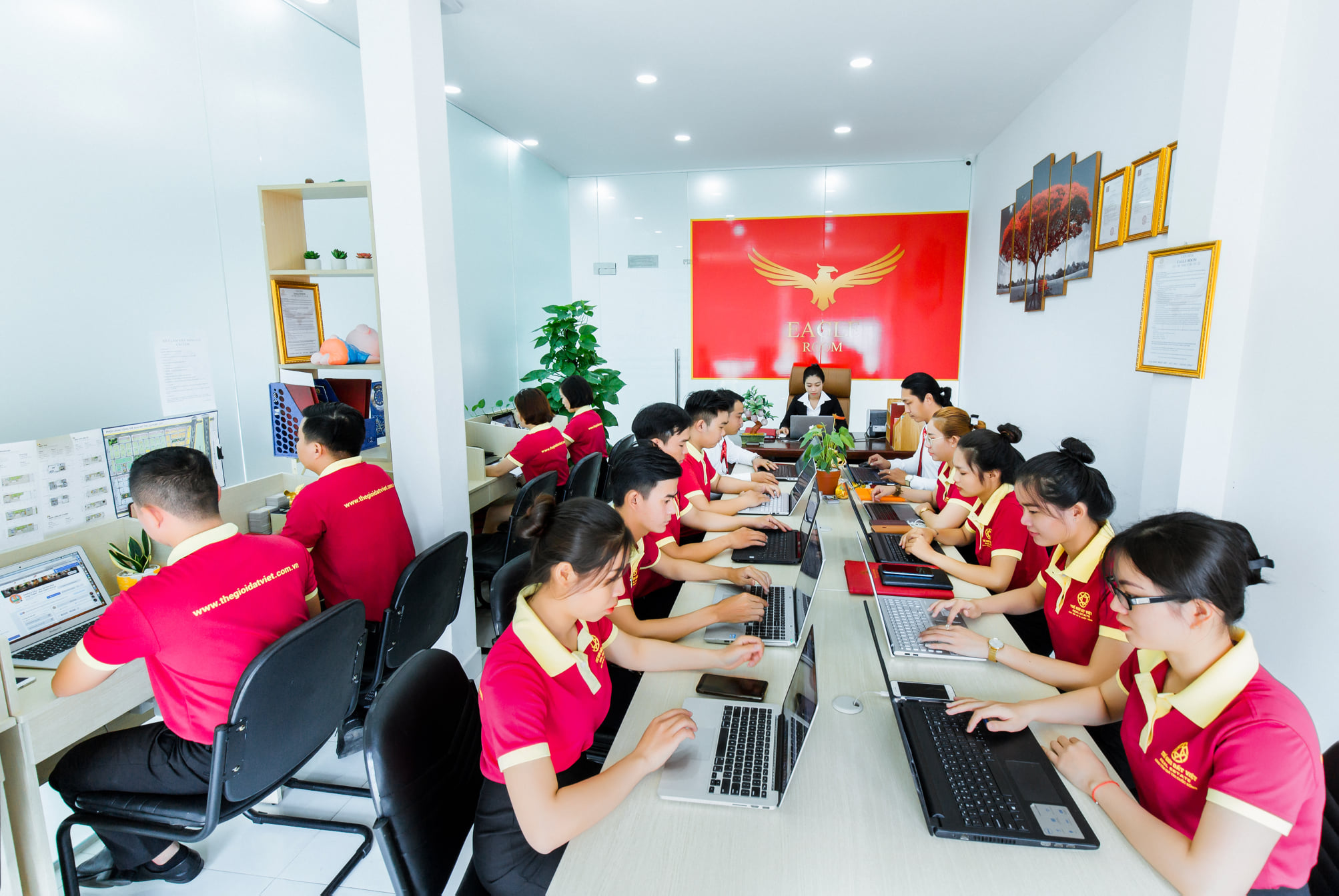Company Banner