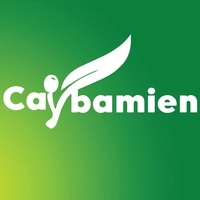 Cây Ba Miền
