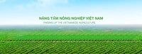 Công Ty Tnhh Daunpenh Agrico
