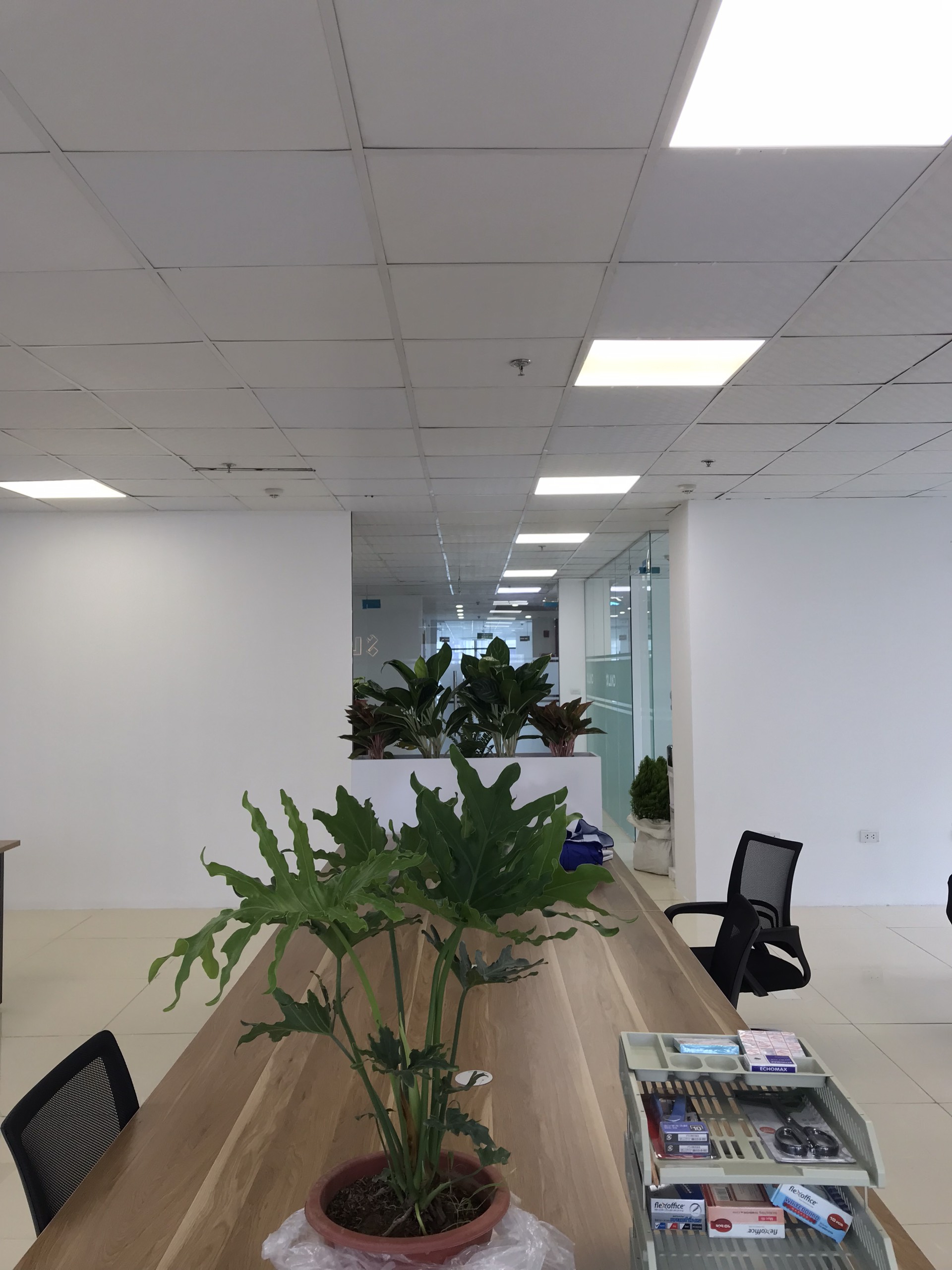 Company Banner