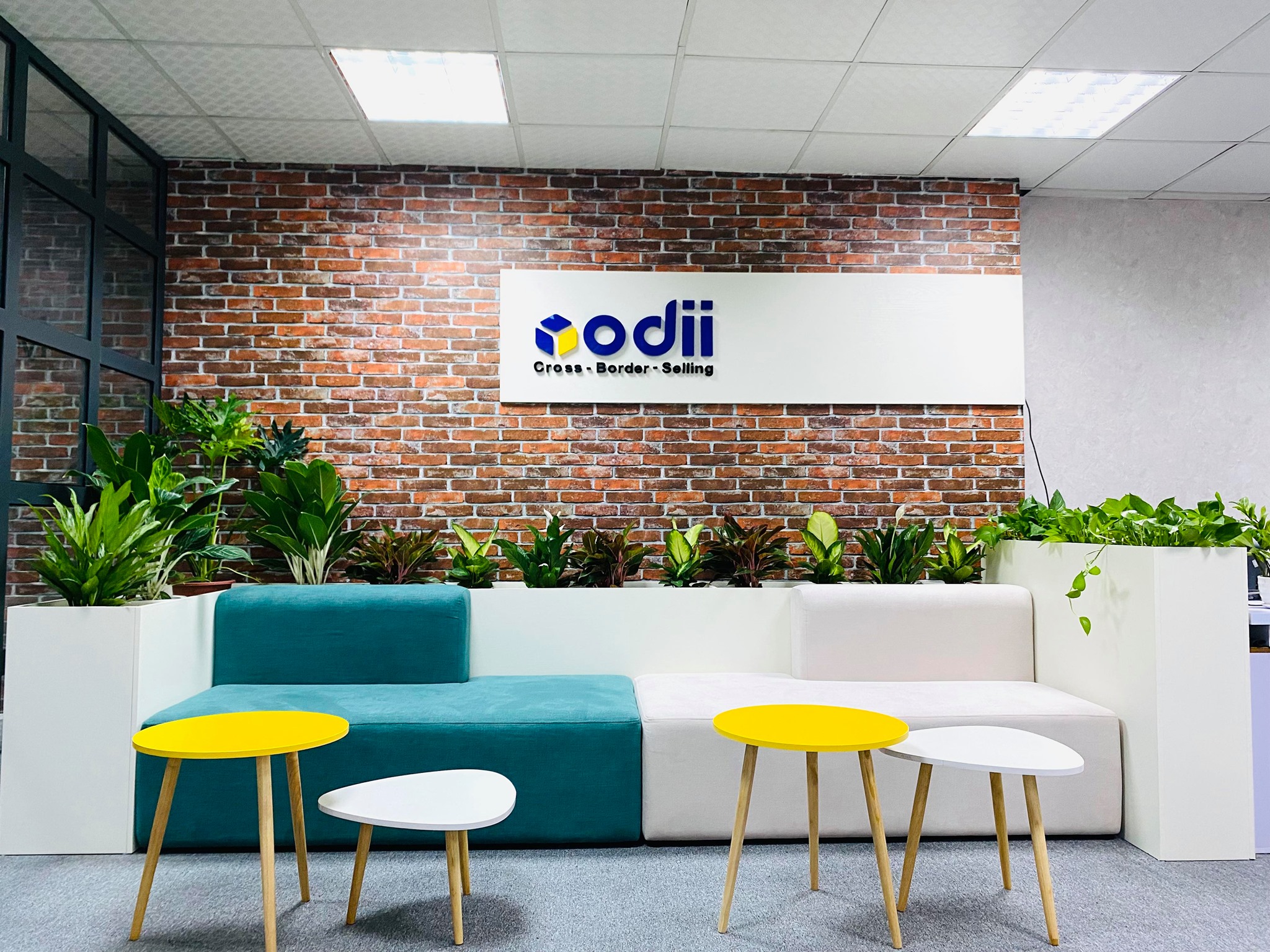 Company Banner