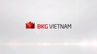 Công Ty Cổ Phần Bkg Việt Nam
