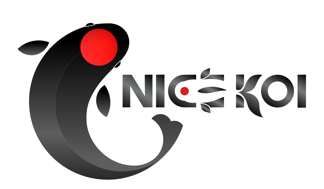Company Banner