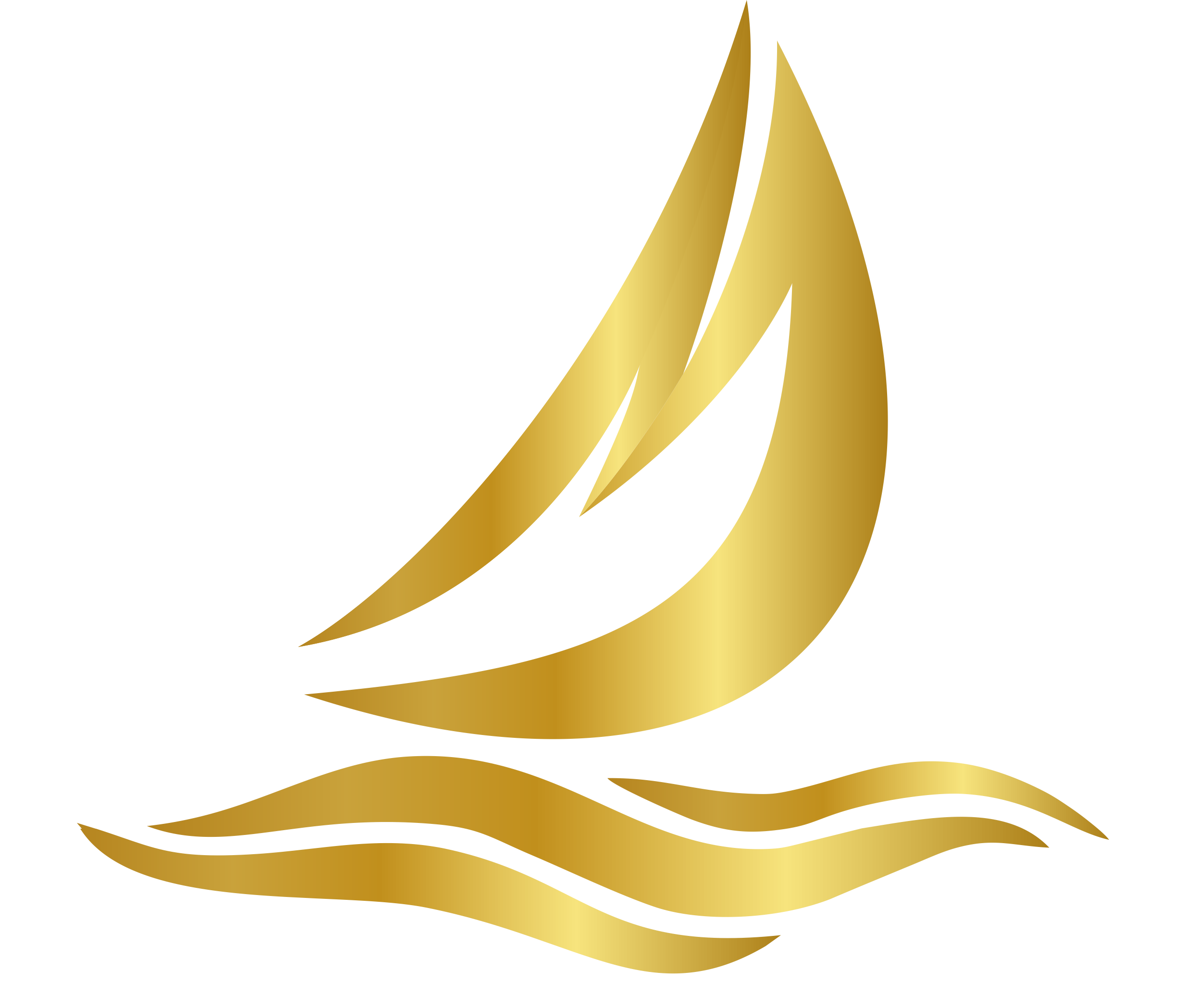 Company Image