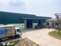 Mạnh Dũng