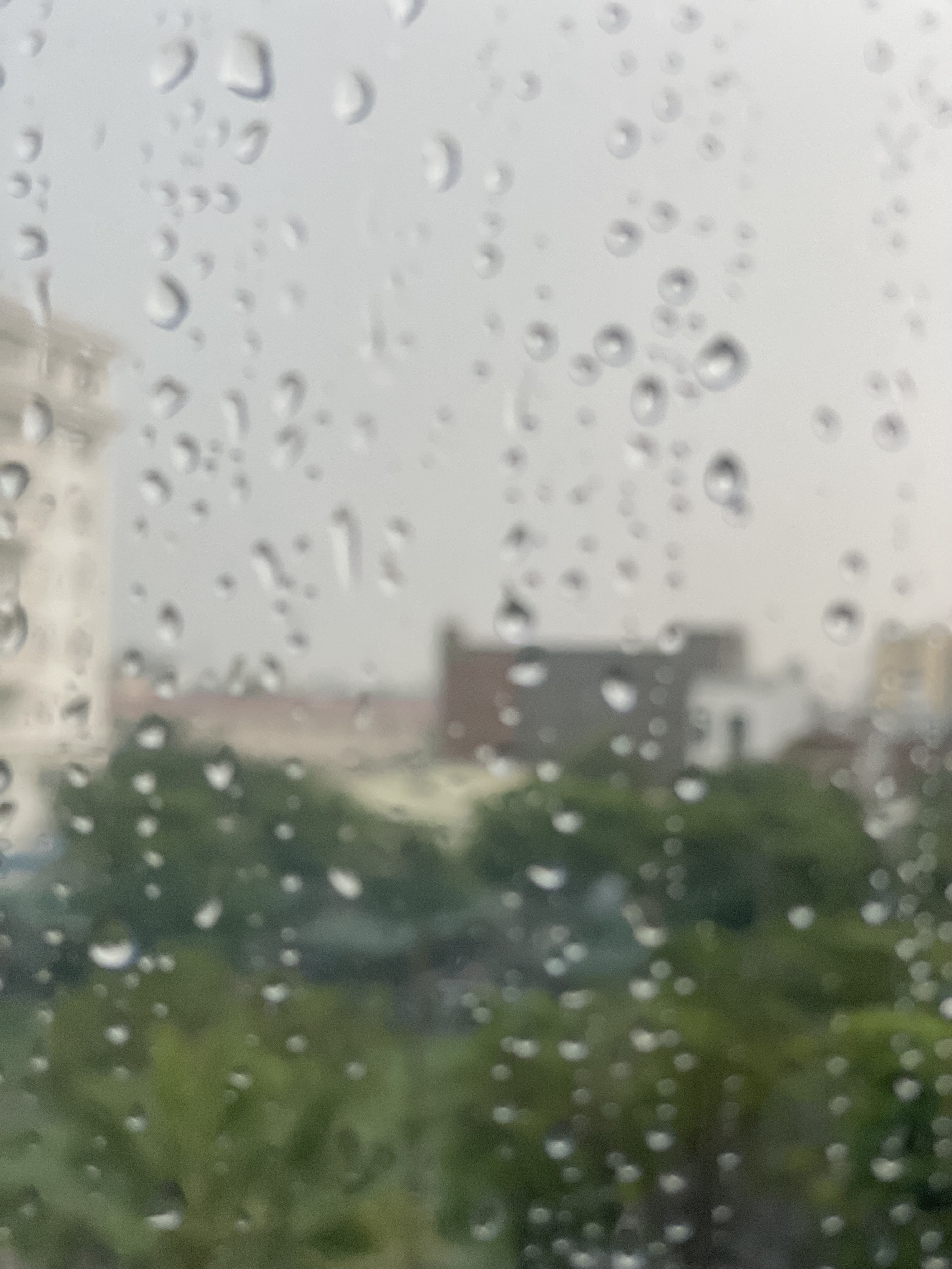 Hình ảnh công ty