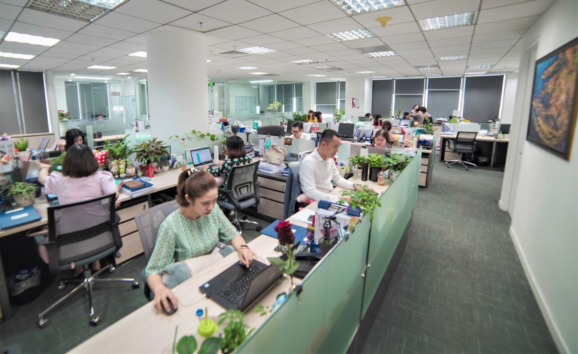 Company Banner