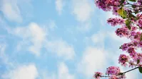 CÔNG TY TNHH THƯƠNG MAI VÀ DS SIX