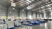 nhân viên xuất nhập khẩu