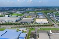 Chuyên viên nhập khẩu (Import Specialist)