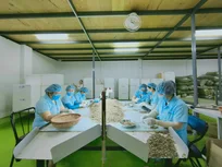 10 NHÂN VIÊN BÁN HÀNG NGÀNH HÀNG GIA VỊ