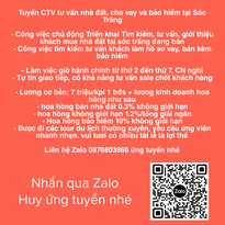 CHUYÊN VIÊN TƯ VẤN FREELANCE