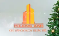 Tuyển Kế Toán - Tại Bình Định - Lương Thỏa Thuận Theo Kinh Nghiệm