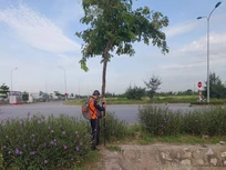 Quản lý Trắc đạc