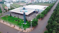Nhân Viên Thu Ngân & Hậu Mãi
