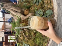 Nhân viên bán hàng - chăm sóc khách hàng