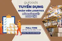 GUFOODS TUYỂN DỤNG NHÂN VIÊN LOGISTICS (MẢNG SẢN XUẤT & KHO VẬN)