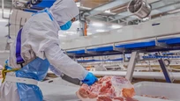 MASAN TUYỂN 20 CÔNG NHÂN NHÀ MÁY