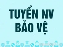 Giám sát an ninh
