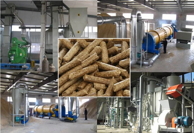 Nhân viên Chứng chỉ lâm nghiệp