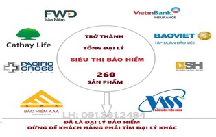 Đại Lý Phân Phối Bảo Hiểm Online
