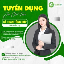 KẾ TOÁN TỔNG HỢP: 01 NHÂN SỰ