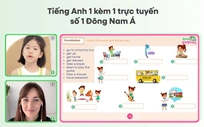 Giáo Viên Dạy Tiếng Anh 1 Kèm 1 (Dạy Online)