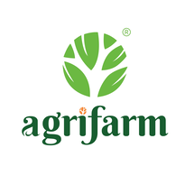 Nhân viên hành chính - văn phòng