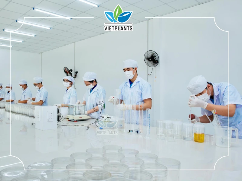 KỸ THUẬT VIÊN NUÔI CẤY MÔ