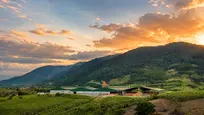 Trưởng phòng nguyên liệu gỗ