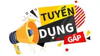 Tuyển dụng Kế toán viên