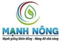 Kế toán kê khai và báo cáo thuế
