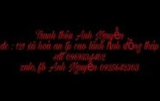 Thợ thêu tranh chữ thập