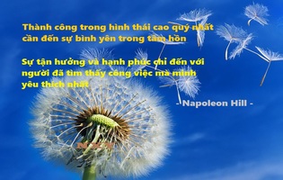 Đại Lý Ủy Quyền Phân Phối Bảo Hiểm công nghệ 4.0 Online - Việc Làm Tại Nhà