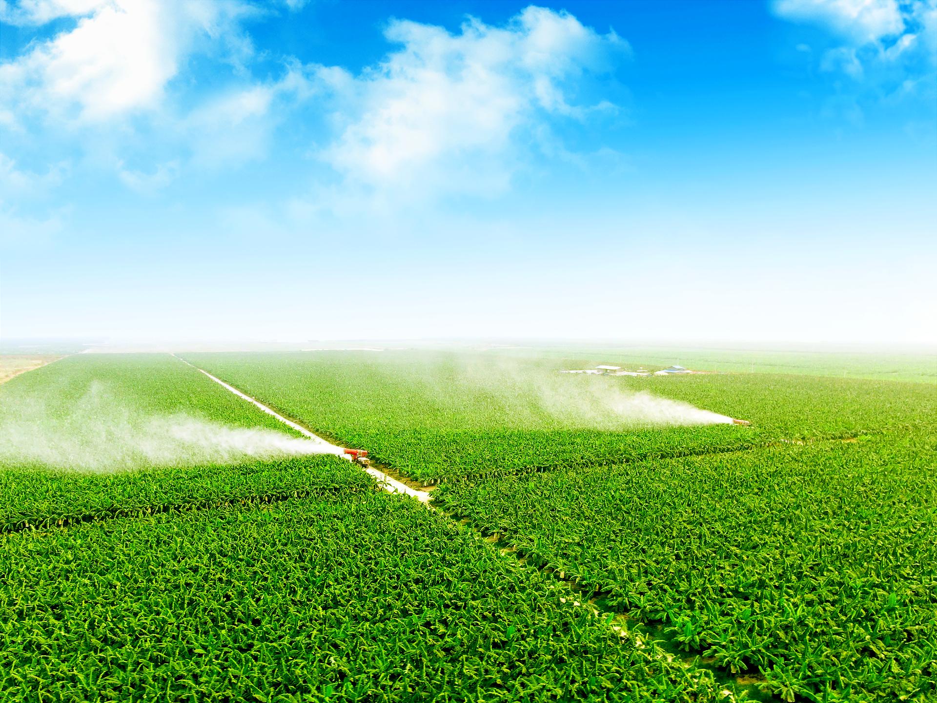 [Cam] Nhân viên Kỹ thuật Sản xuất Nông nghiệp