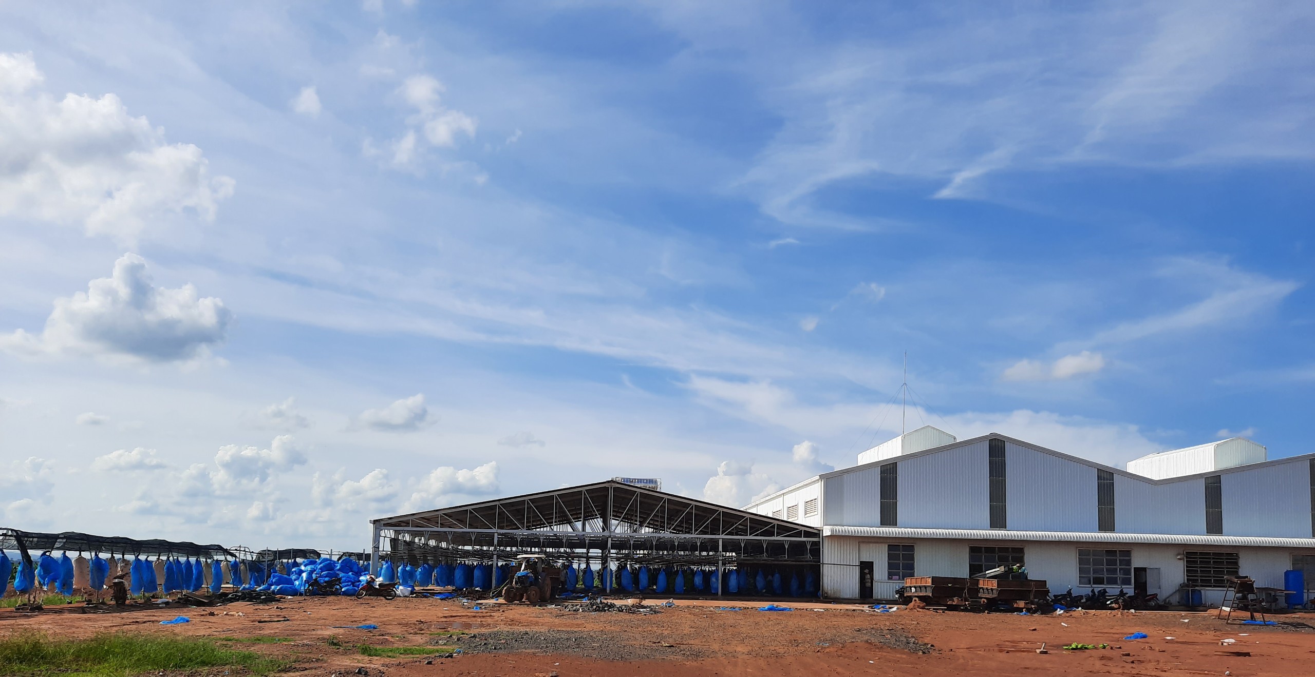 [Cam] Nhân viên KCS Xưởng đóng gói