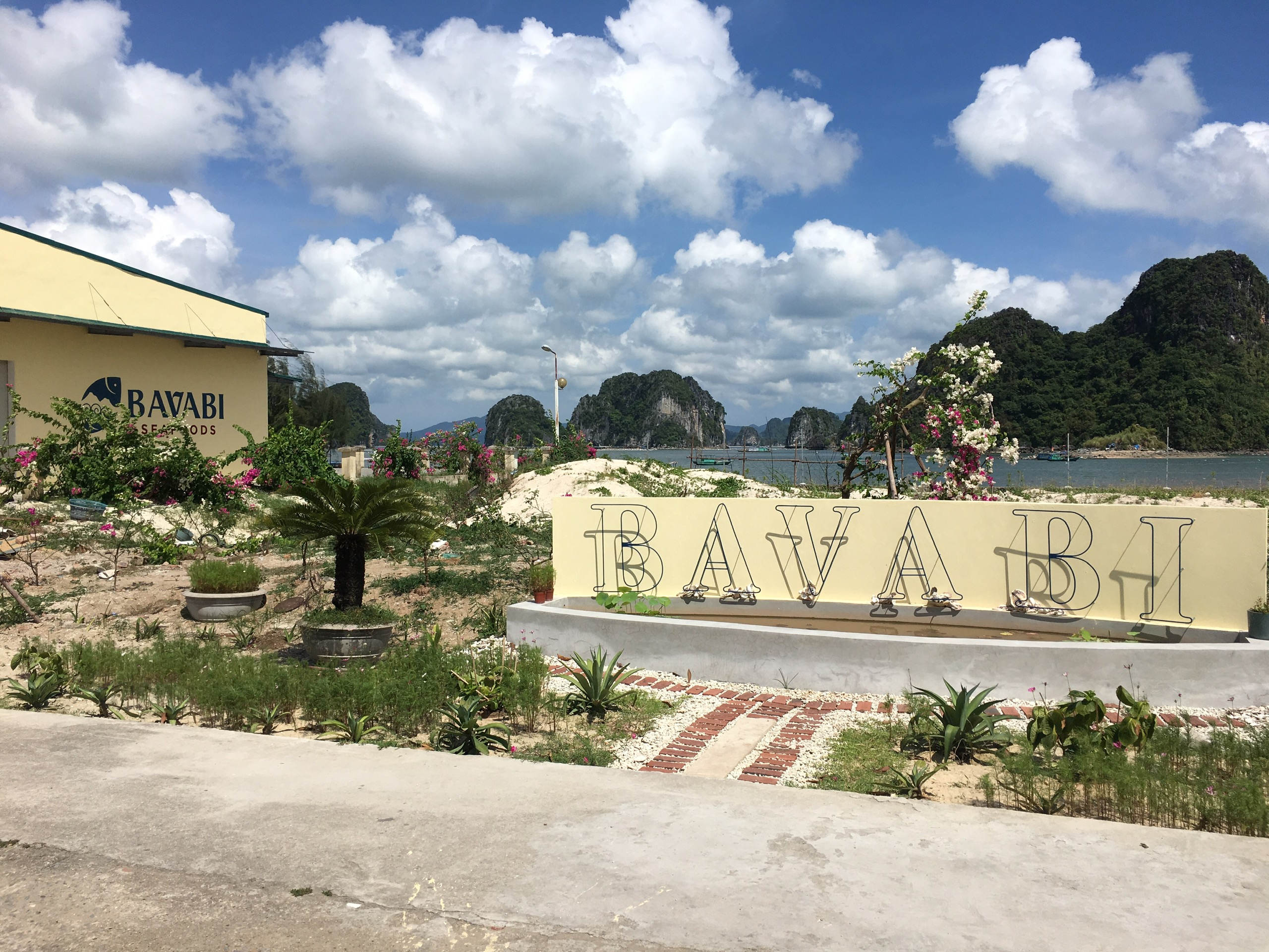 Nhân viên kinh doanh