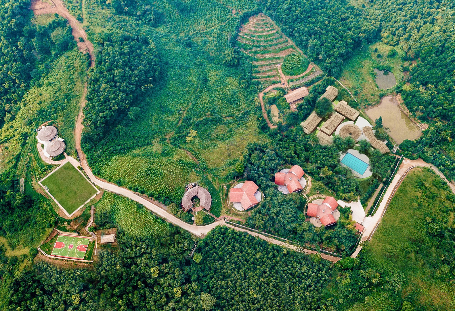 Giáo viên Tiếng Anh tiểu học