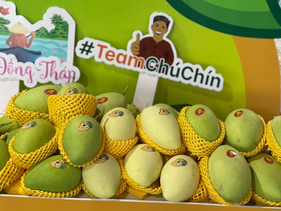 Chuyên Viên Kế Toán Nội Bộ