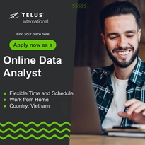 Online Data Analyst